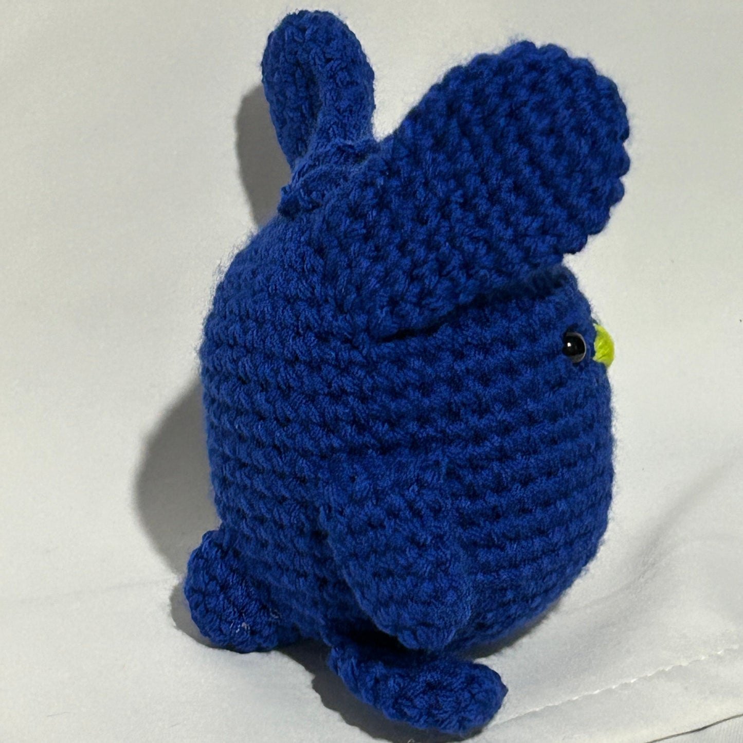Blueberry Bunny